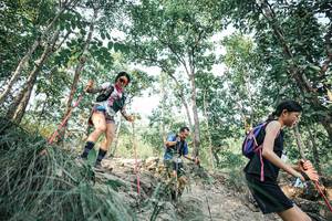 BIB: 
                            <button type="button" onclick="openModal(25983305)" class="btn btn-primary btn-sm float-right btn-popup" data-toggle="modal" data-target=".modal-high-quality">
                        <i class="fas fa-shopping-cart"></i> Add to Cart
                    </button>
                                            <button type="button" onclick="isThisMe(25983305, true)" class="btn btn-success btn-sm float-right btn-popup btn-isme hidden" data-toggle="tooltip" data-placement="bottom" title="นี่คือรูปของคุณใช่ไหม คลิกที่นี่เพื่อเอาเข้าอัลบั้ม">
                        <i class="fas fa-plus"></i> Add to album
                    </button>
                    <button type="button" onclick="isThisMe(25983305, false)" class="btn btn-warning btn-sm float-right btn-popup btn-isnotme hidden">
                        <i class="fas fa-ban"></i> Remove from album
                    </button>